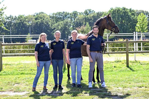 Pferdepraxis Niedersachsen Felicia Wehrenpfennig Fachtierärztin unter Verden, Niedersachsen