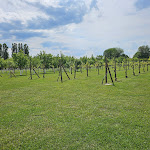 Photo n°4 de l'avis de Francesco.n fait le 15/06/2023 à 16:14 sur le  TENUTA CARTIRAGO - Schiesari Eventi à Ceregnano