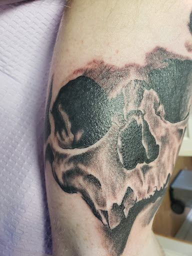 Explore lady and the tramp tattoo ideas, creative tattoo ideas in Houghton, available at Edge Tattoo Inc