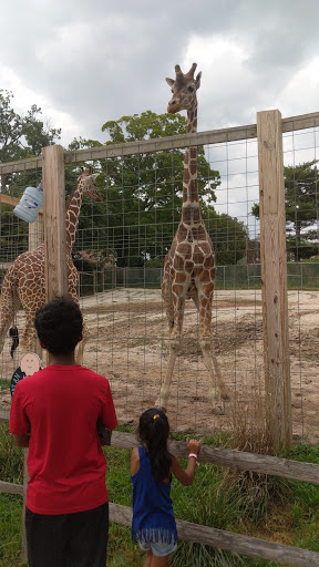 Recreation Center «Go Ape Zip Line & Treetop Adventure - Lums Pond State Park», reviews and photos, 1042 Howell School Rd, Bear, DE 19701, USA