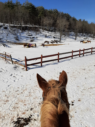 Zoo «Bailiwick Animal Park and Riding Stables», reviews and photos, 118 Castle Rd, Catskill, NY 12414, USA