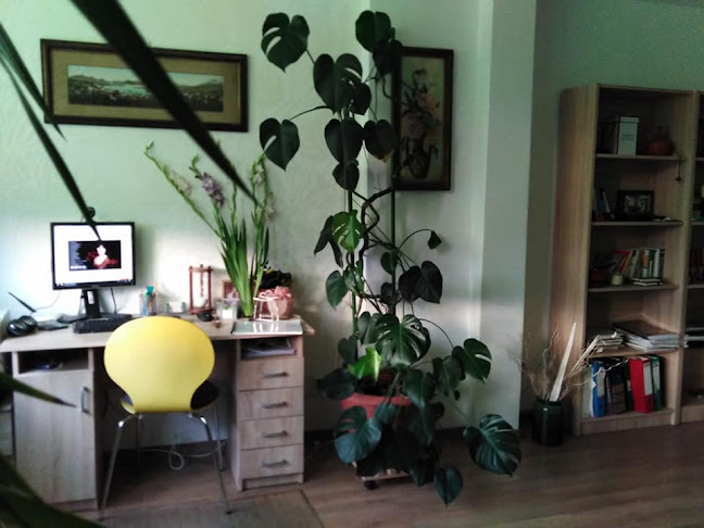 Psihoterapeut Catalina Ioana Dascalu - Cabinet Individual de Psihologie - Iași