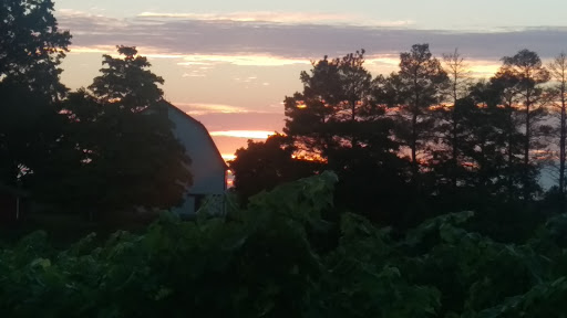 Winery «M Cellars», reviews and photos, 6193 S River Rd W, Geneva, OH 44041, USA