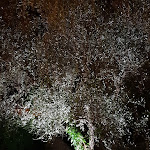 Photo n°1 de l'avis de Roberta.o fait le 04/10/2018 à 21:14 sur le  La Torre - wine resort à Montecarlo