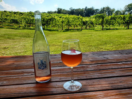 Vineyard «North Mountain Vineyard and Winery», reviews and photos, 4374 Swartz Rd, Maurertown, VA 22644, USA