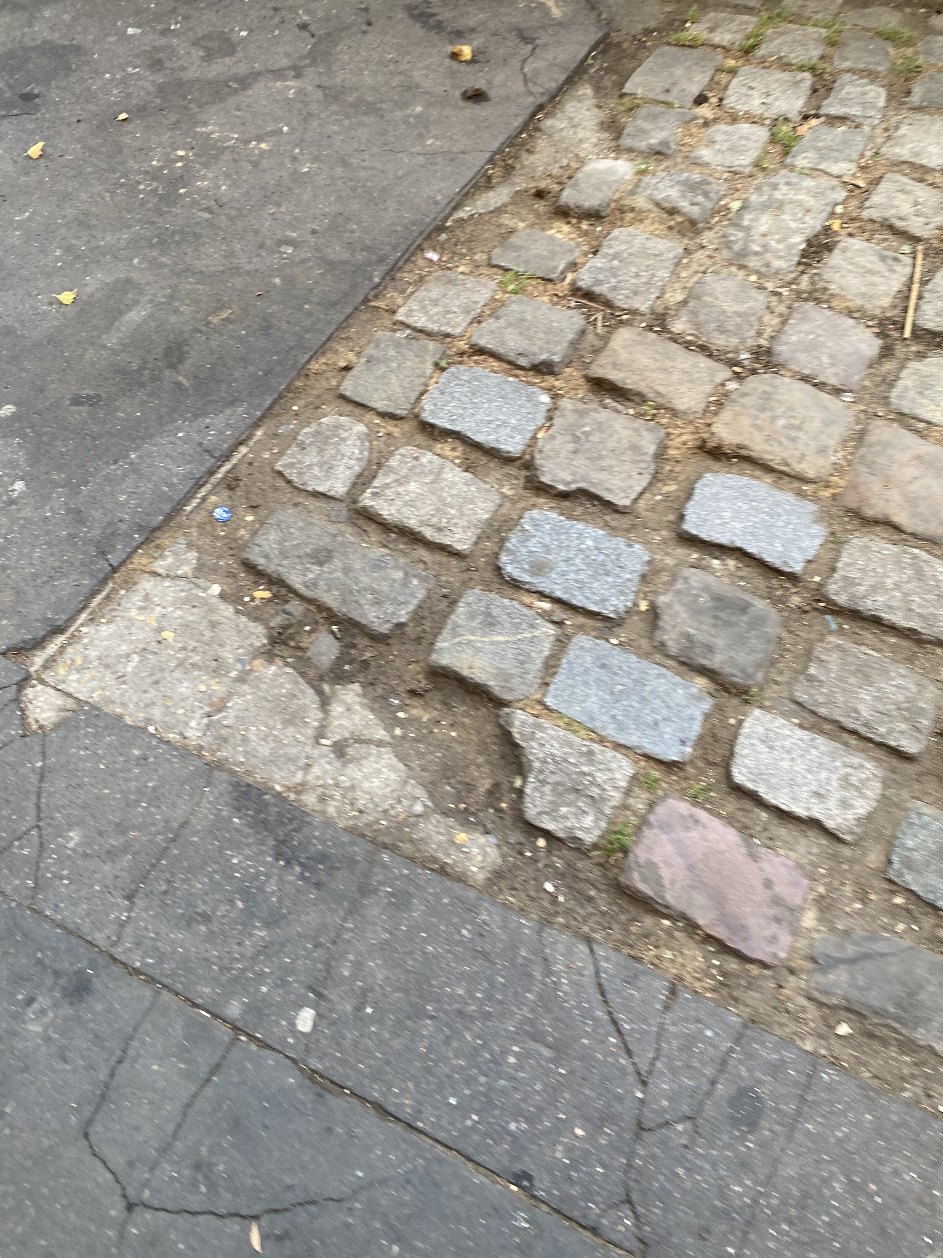 Photo n° 7 de l'avis de lola.a fait le 27/06/2023 à 17:58
