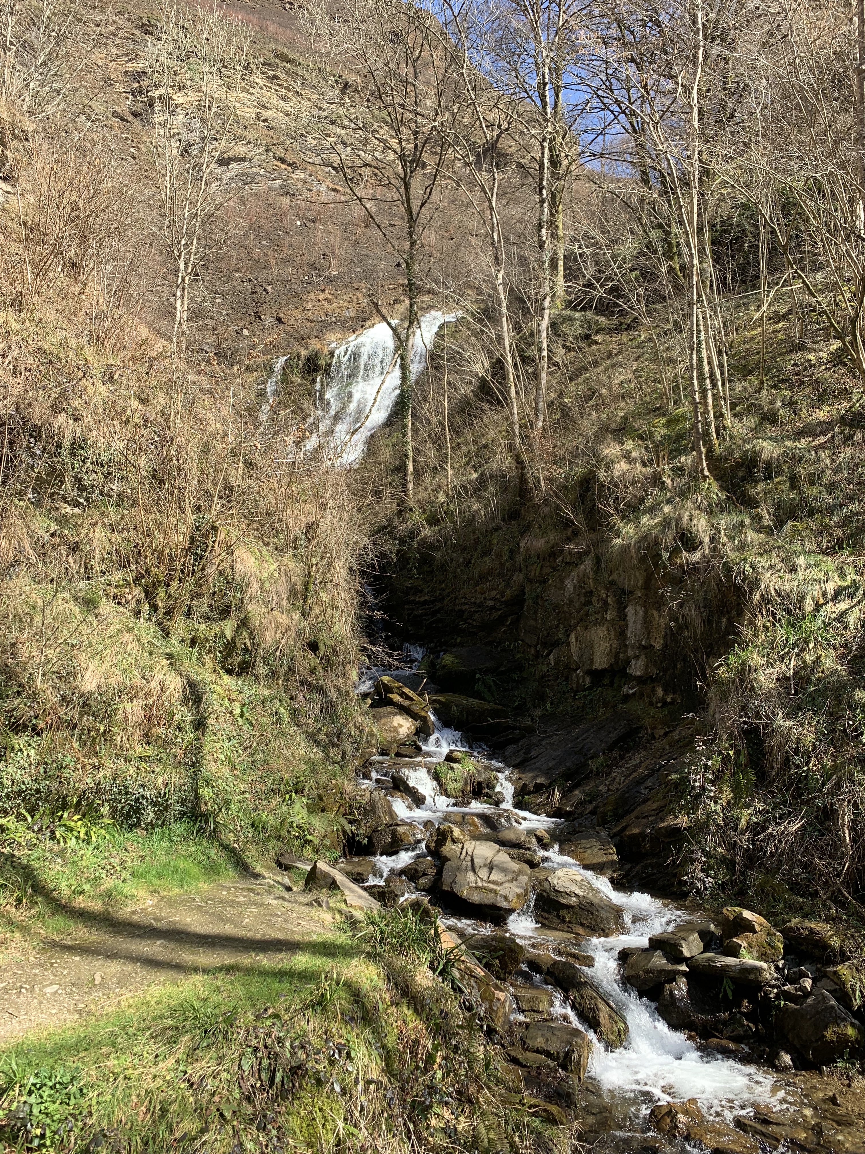 Photo n° 2 de l'avis de Michel.r fait le 15/03/2023 à 19:08