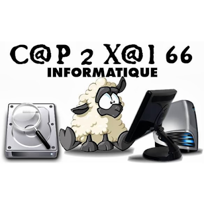 CAP 2 XAI 66 INFORMATIQUE Saint-Jean-Pla-de-Corts 66490