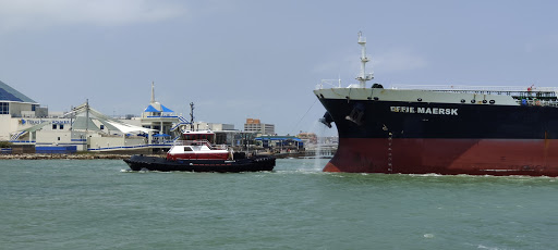Art Museum «The Art Museum of South Texas», reviews and photos, 1902 N Shoreline Blvd, Corpus Christi, TX 78401, USA