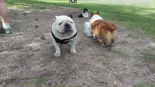 Dog Park «West Park», reviews and photos, 5812 N Occident St, Tampa, FL 33614, USA