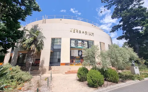 National Herbarium of Victoria image