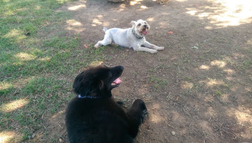 Dog Park «MacArthur Dog Park», reviews and photos, 601 E 9th St, Little Rock, AR 72202, USA