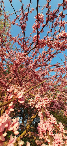 Park «Stringtown Park», reviews and photos, 7340 Burlington Pike, Florence, KY 41042, USA