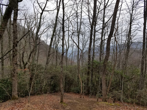 Tourist Attraction «French Broad Overlook», reviews and photos, 3938 Blue Ridge Pkwy, Arden, NC 28704, USA