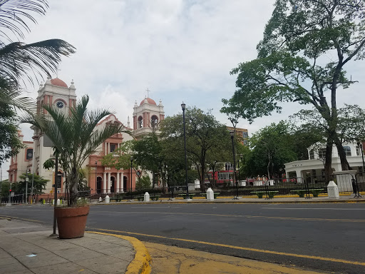 Parque Central de San Pedro Sula