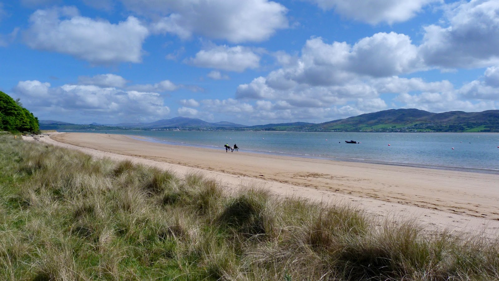 Photo de Rathmullan Beach avec rivage droit, long