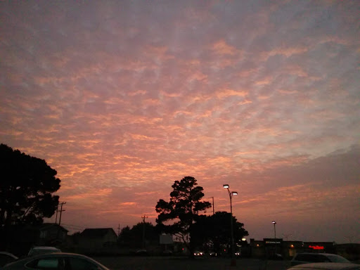 Shopping Mall «The Eureka Mall», reviews and photos, 800 W Harris St, Eureka, CA 95501, USA