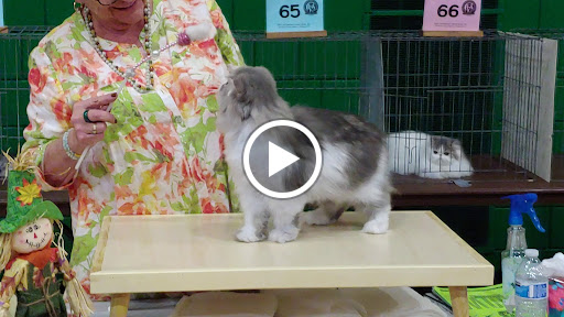 Community Center «Crystal Community Center», reviews and photos, 4800 Douglas Dr N, Minneapolis, MN 55429, USA