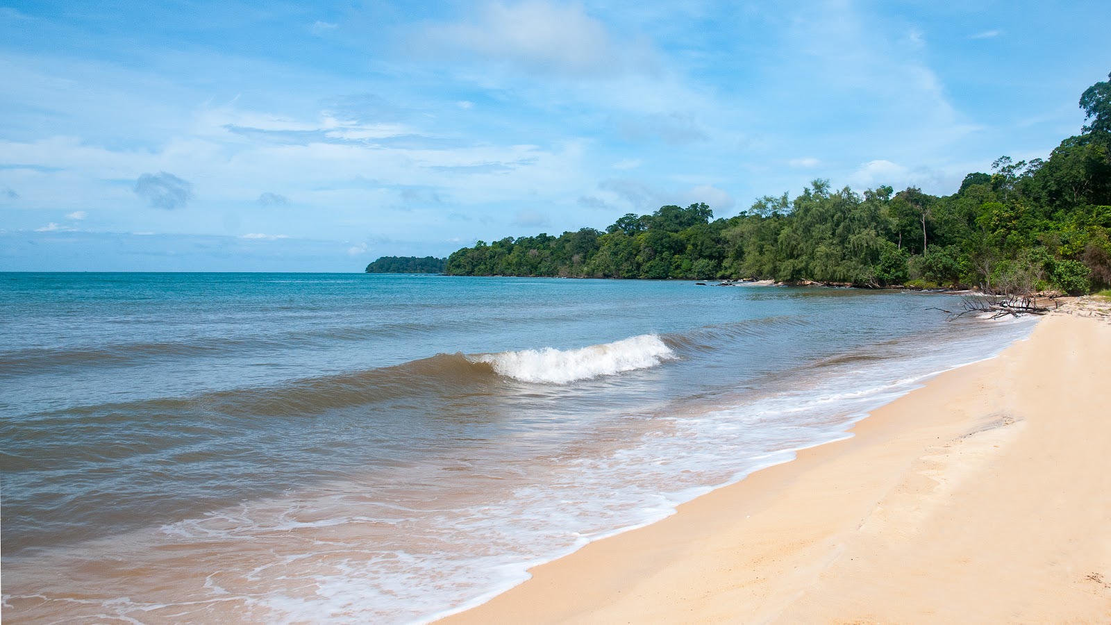 Zdjęcie Golden Beach z proste i długie