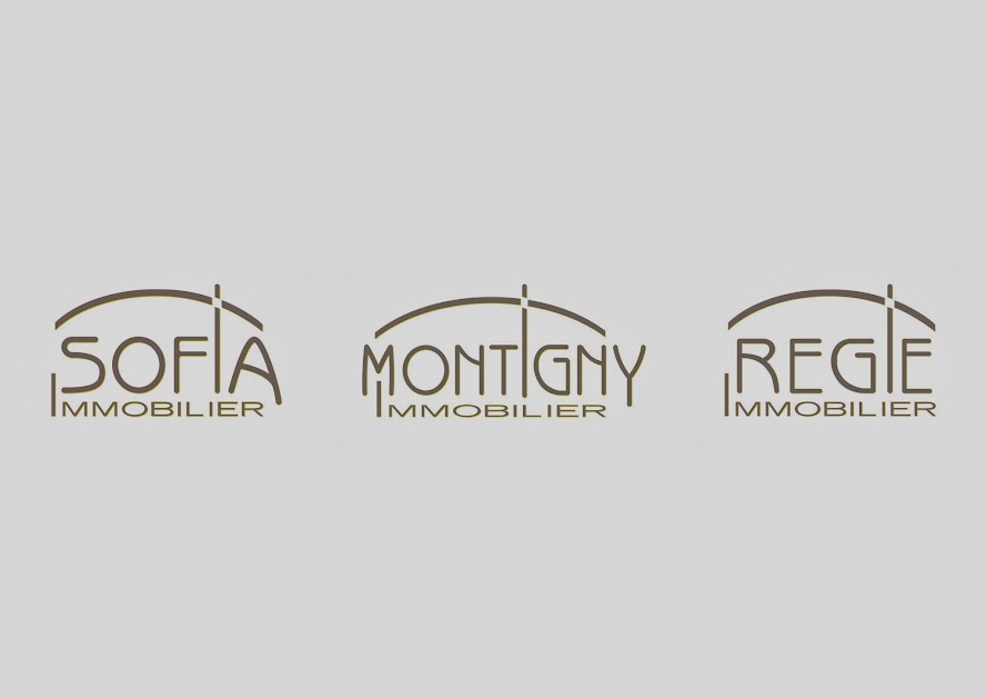 Montigny Immobilier à Montigny-le-Bretonneux