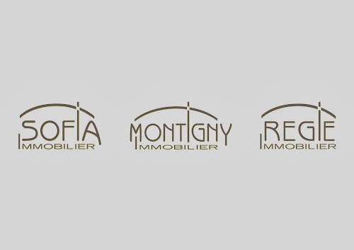 Agence immobilière Montigny Immobilier Montigny-le-Bretonneux