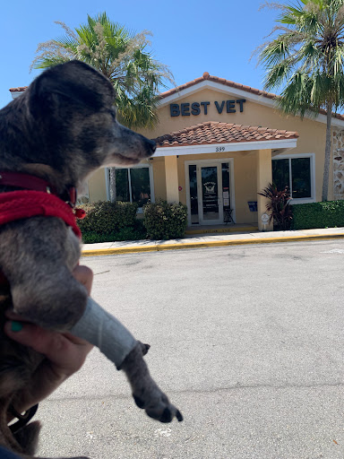 BEST VET Affordable Animal Hospital image