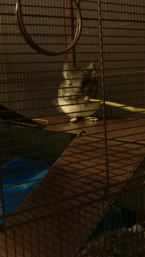 Pet Supply Store «Petco Animal Supplies», reviews and photos, 4491 Kirkwood Hwy, Wilmington, DE 19808, USA