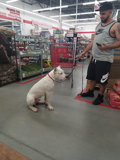 Home Improvement Store «Tractor Supply Co.», reviews and photos, 1484 Athens Hwy, Grayson, GA 30017, USA