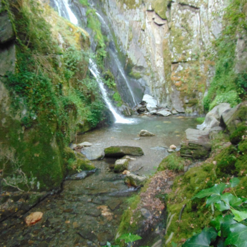 5 image