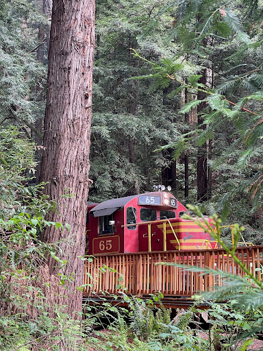 Tourist Attraction «Skunk Train», reviews and photos, 100 W Laurel St, Fort Bragg, CA 95437, USA