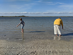 Foto von Tobay Creek Beach befindet sich in natürlicher umgebung