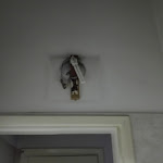 Photo n°4 de l'avis de Monica.A fait le 07/09/2018 à 12:36 sur le  Hotel La Pace à Viareggio