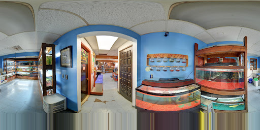 Pet Store «Night Stalkers Pet Emporium», reviews and photos, 5008 Madison Ave, Anderson, IN 46013, USA