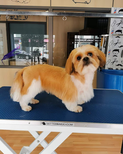 Dog Barber Gijón - Servicios para mascota en Gijón