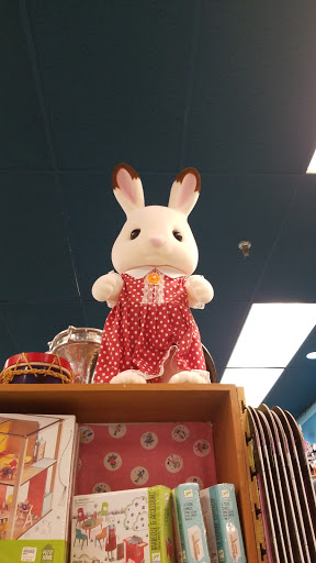 Toy Store «Terra Toys», reviews and photos, 2438 W Anderson Ln, Austin, TX 78757, USA