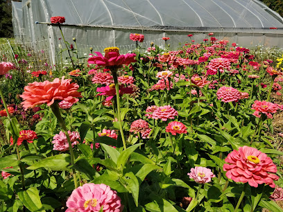 Guelph Centre for Urban Organic Farming