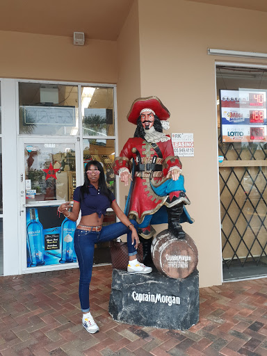 Liquor Store «Liquors Plus», reviews and photos, 2985 NE 163rd St, North Miami Beach, FL 33160, USA