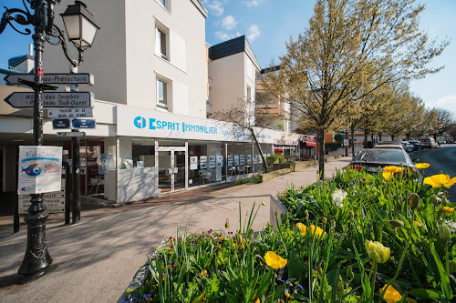 EI Immobilier à Palaiseau