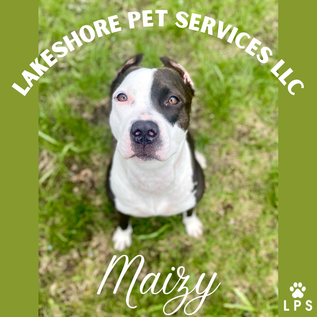 Lakeshore Pet Services LLC