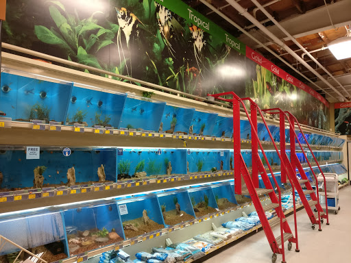 Pet Supply Store «PetSmart», reviews and photos, 3520 S El Camino Real, San Mateo, CA 94403, USA