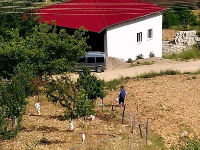 Bulanık Köyü Muhtarlığı