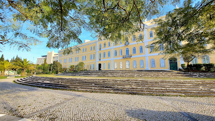 Colégio Almada Negreiros, Universidade Nova de Lisboa