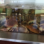 Photo n°2 de l'avis de Ana.a fait le 28/06/2021 à 21:26 sur le  A Lagosteira à Albufeira