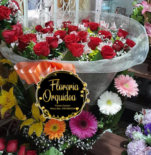 Florerías en Doctor Mora, Guanajuato: Entrega a Domicilio y Servicio 24 Horas