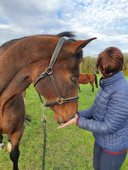 Auré Ki - soin shiatsu et reiki pour le cheval et son cavalier