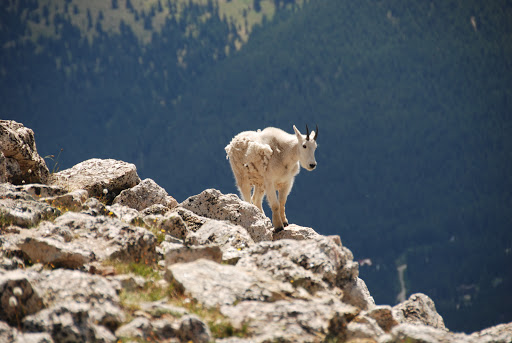 Country Club «Urbandale Golf & Country Club», reviews and photos, 4000 86th St, Urbandale, IA 50322, USA