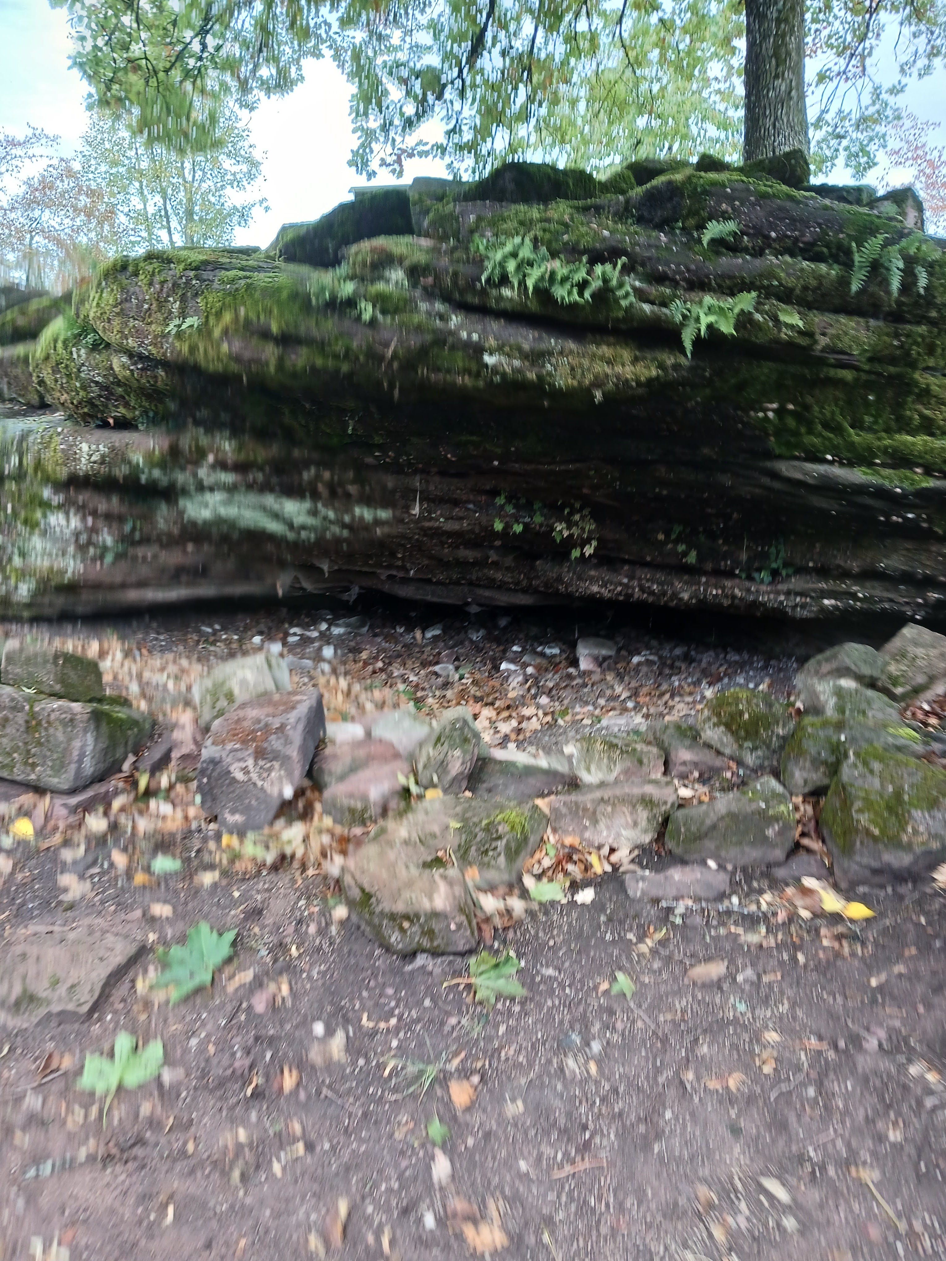 Photo n° 6 de l'avis de ronin.a fait le 20/10/2023 à 13:36