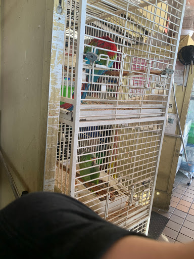 Pet Store «Pet Source 1901», reviews and photos, 1901 W 8th St B, Los Angeles, CA 90057, USA