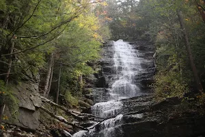 Green Mountain National Forest image