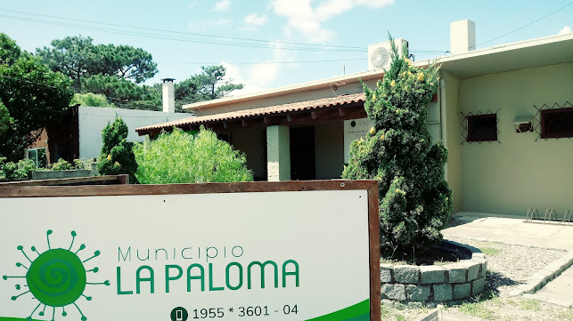 Opiniones de Municipio La Paloma en La Paloma - Oficina de empresa